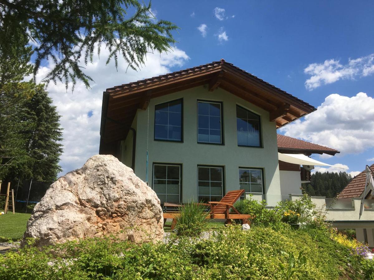 רמסאו אם דכשטיין Appartementhaus Finis מראה חיצוני תמונה